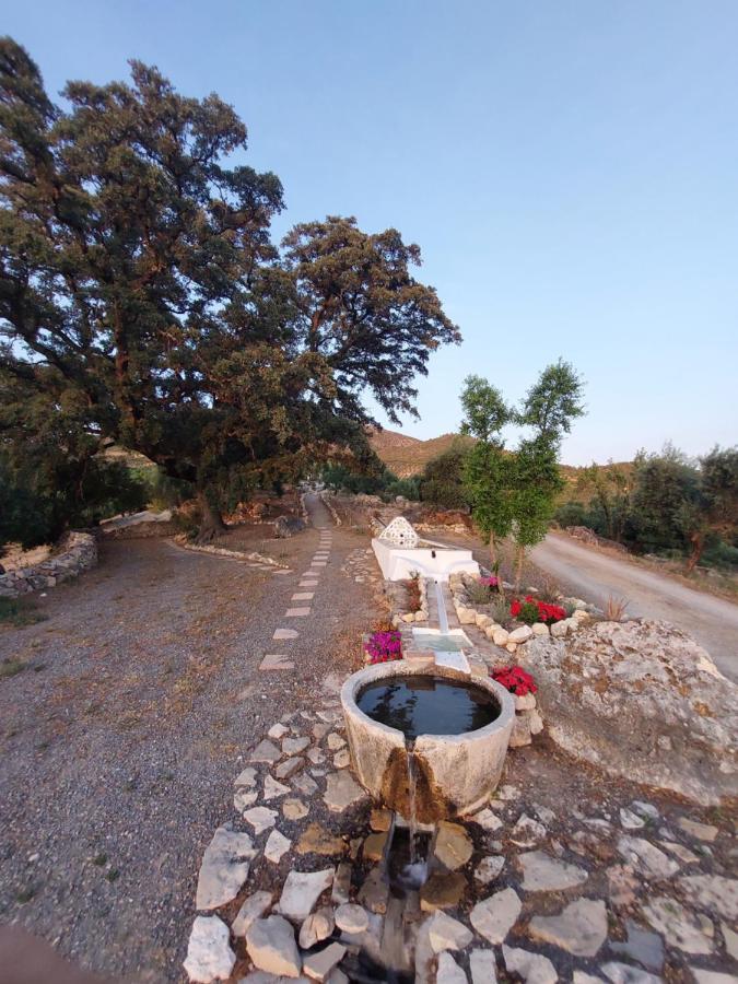 הוילה אלגודונאלס Hacienda Molino Nuevo מראה חיצוני תמונה